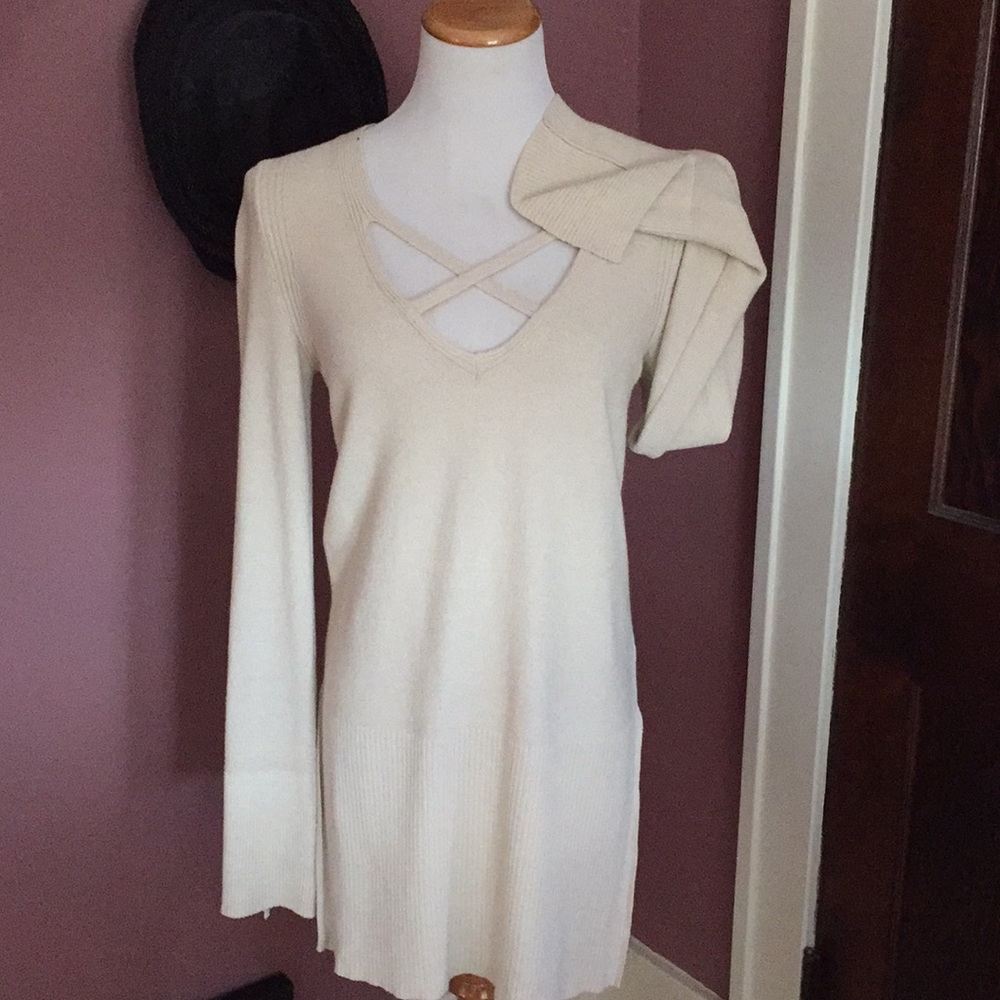 Free People Tunic Sweater